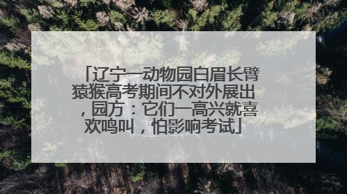 辽宁一动物园白眉长臂猿猴高考期间不对外展出，园方：它们一高兴就喜欢鸣叫，怕影响考试